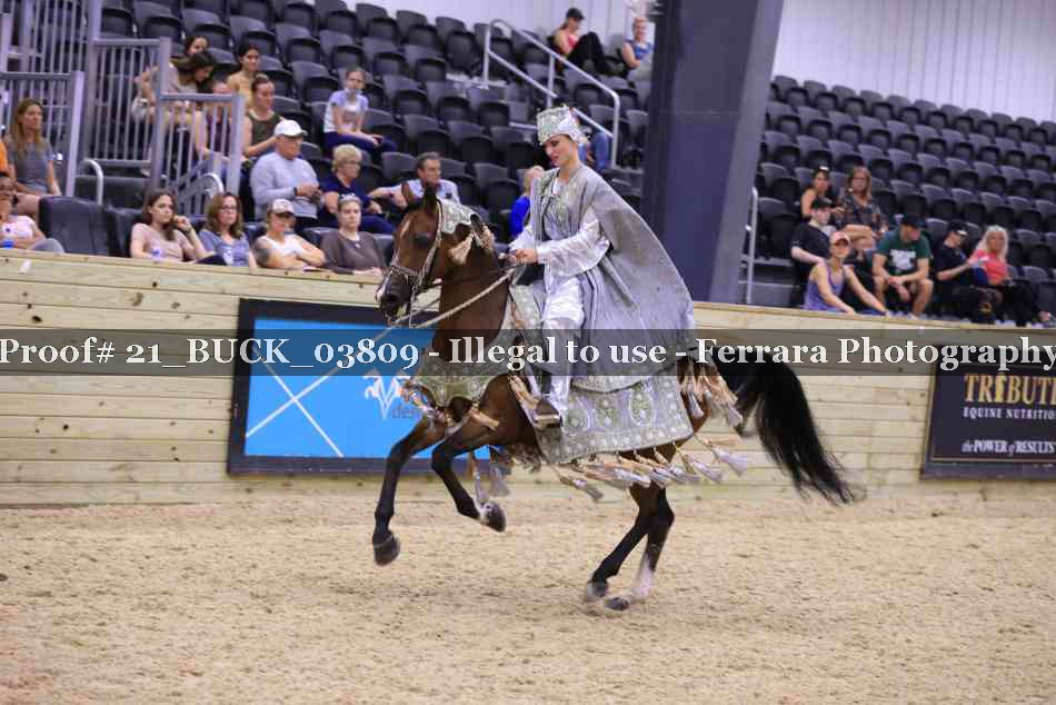 Proof 21_BUCK_03809