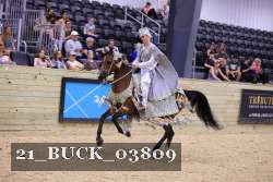 21_BUCK_03809 proof