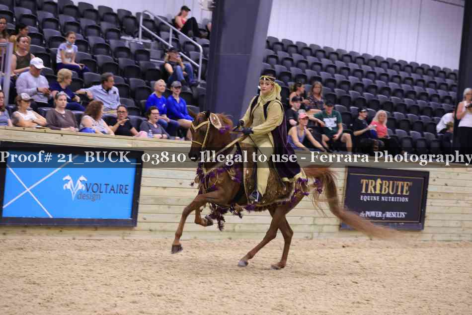 Proof 21_BUCK_03810