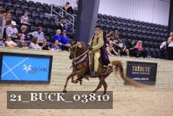 21_BUCK_03810 proof