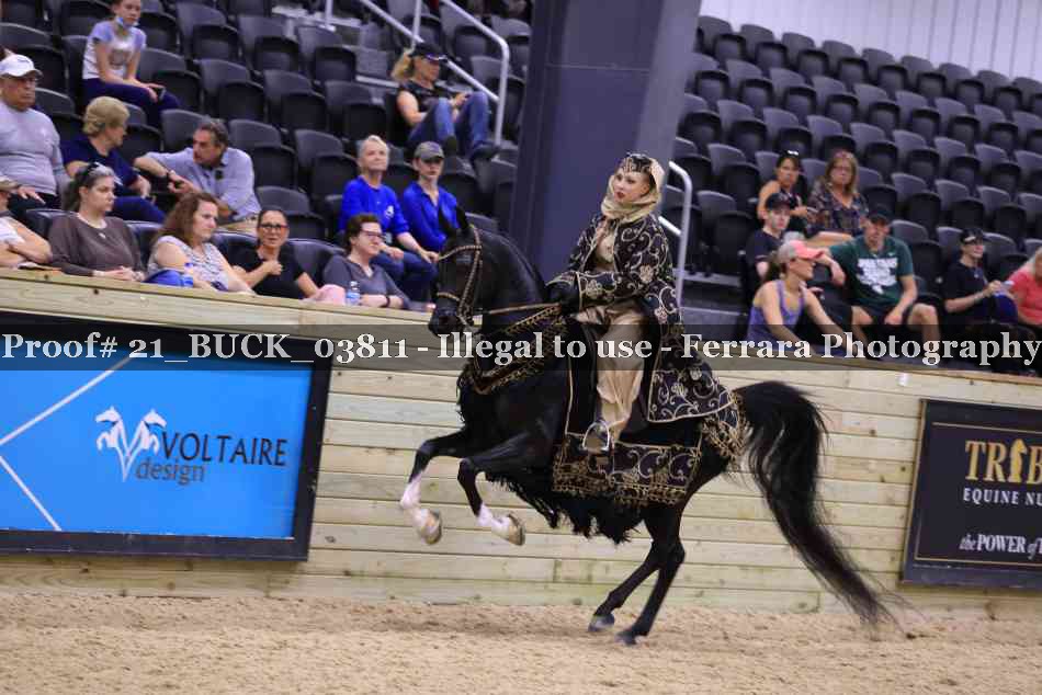 Proof 21_BUCK_03811