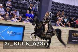 21_BUCK_03811 proof
