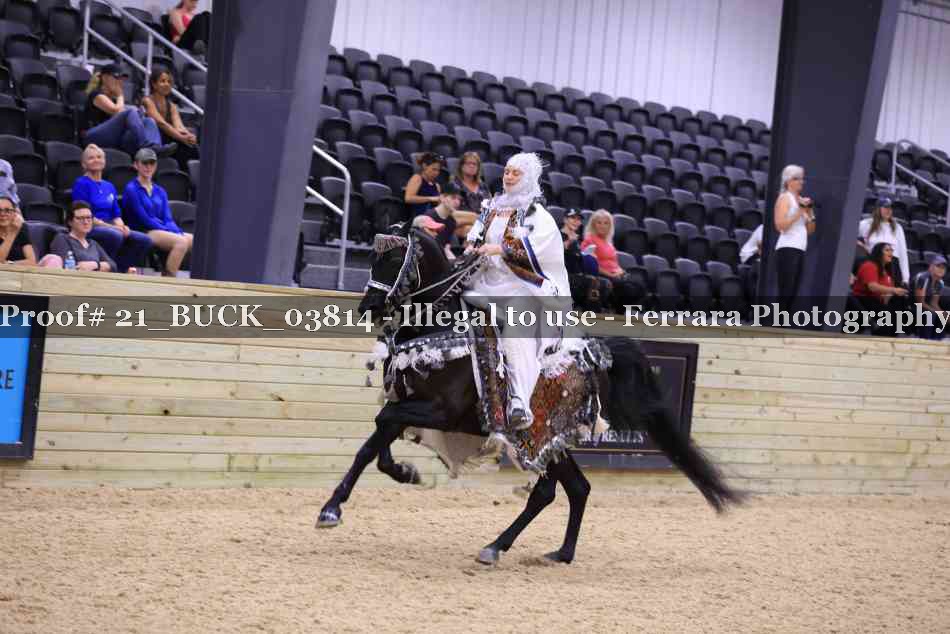 Proof 21_BUCK_03814