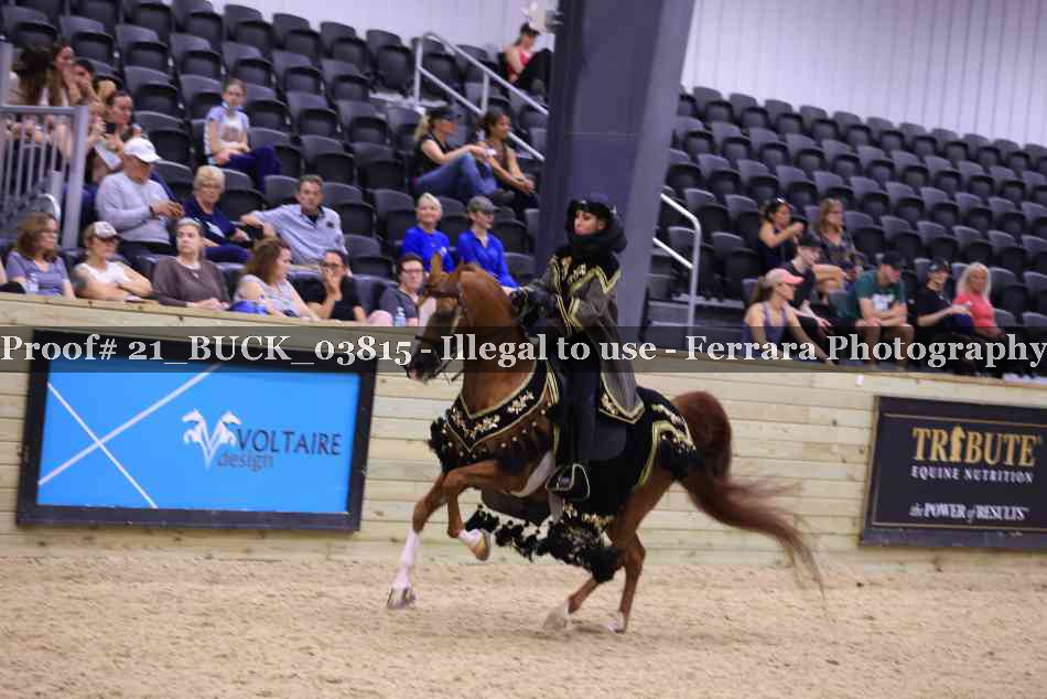 Proof 21_BUCK_03815