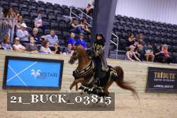 21_BUCK_03815 proof