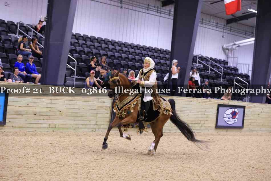 Proof 21_BUCK_03816