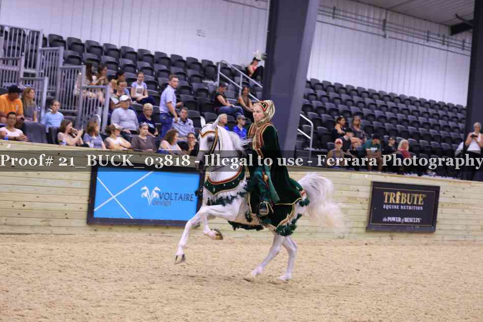 Proof 21_BUCK_03818