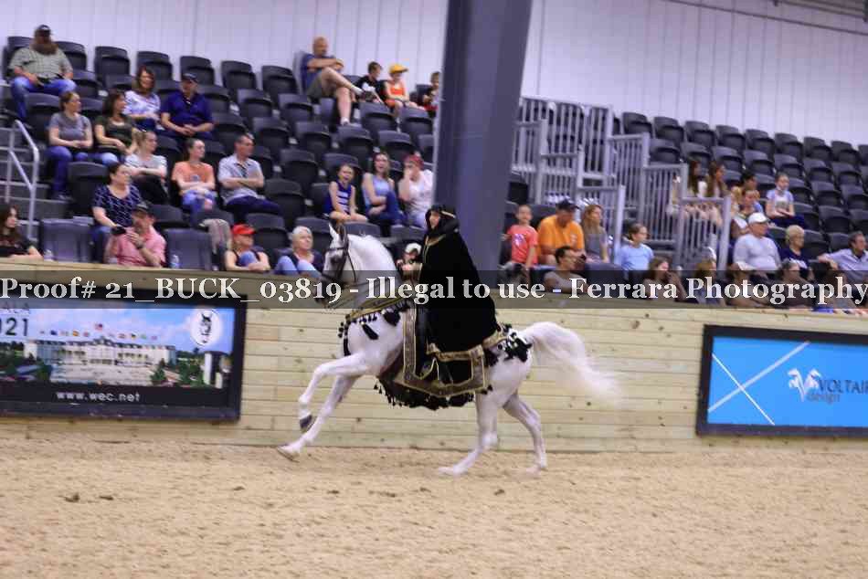 Proof 21_BUCK_03819