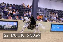 21_BUCK_03819 proof