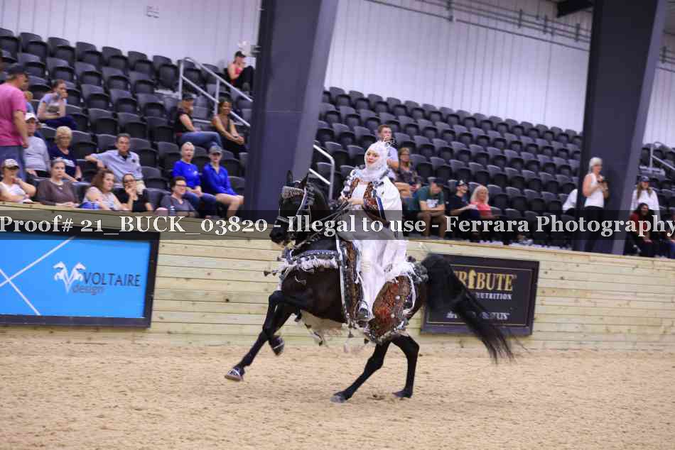 Proof 21_BUCK_03820