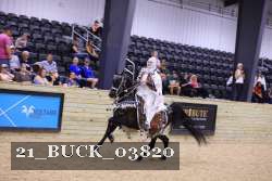 21_BUCK_03820 proof