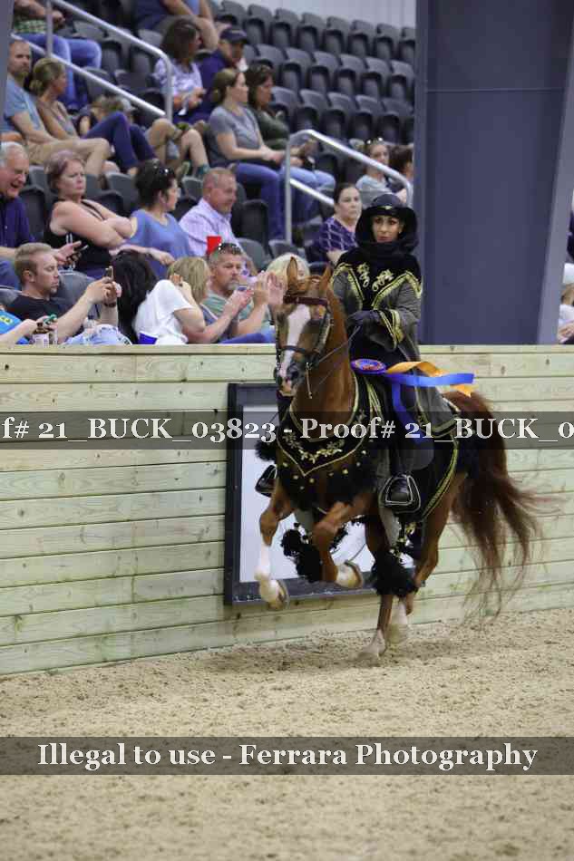 Proof 21_BUCK_03823