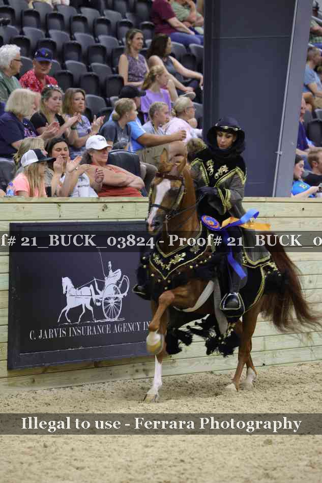 Proof 21_BUCK_03824