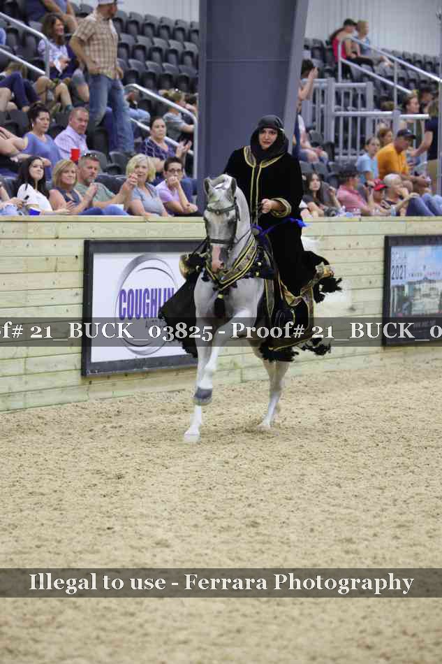 Proof 21_BUCK_03825