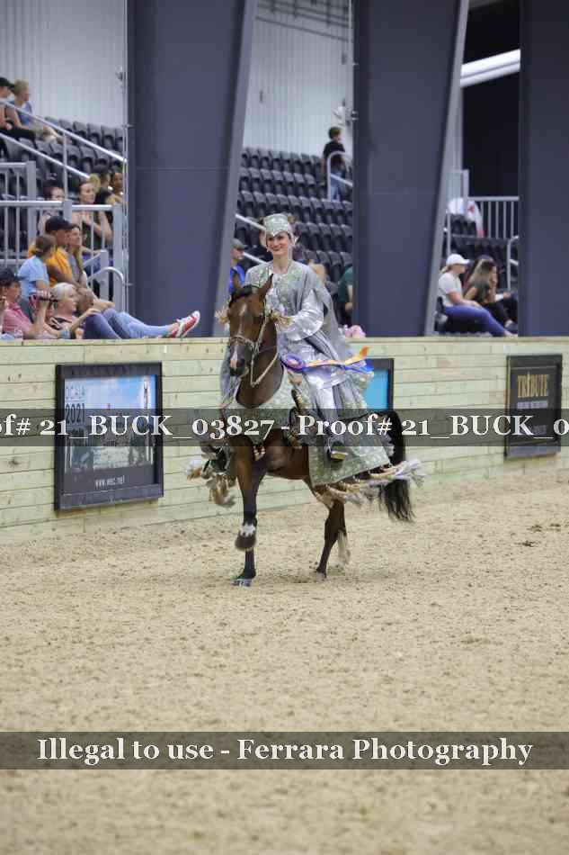 Proof 21_BUCK_03827