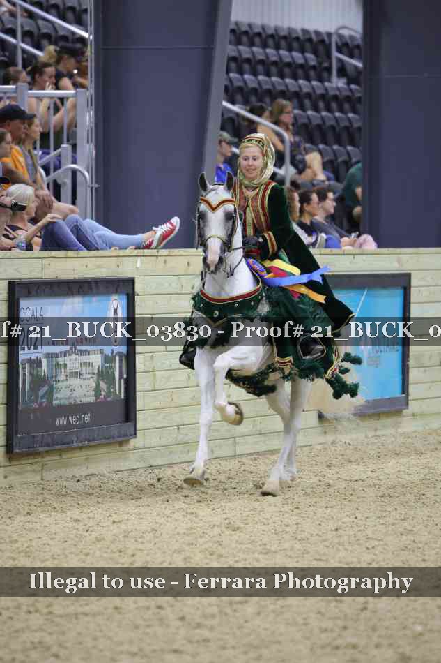 Proof 21_BUCK_03830