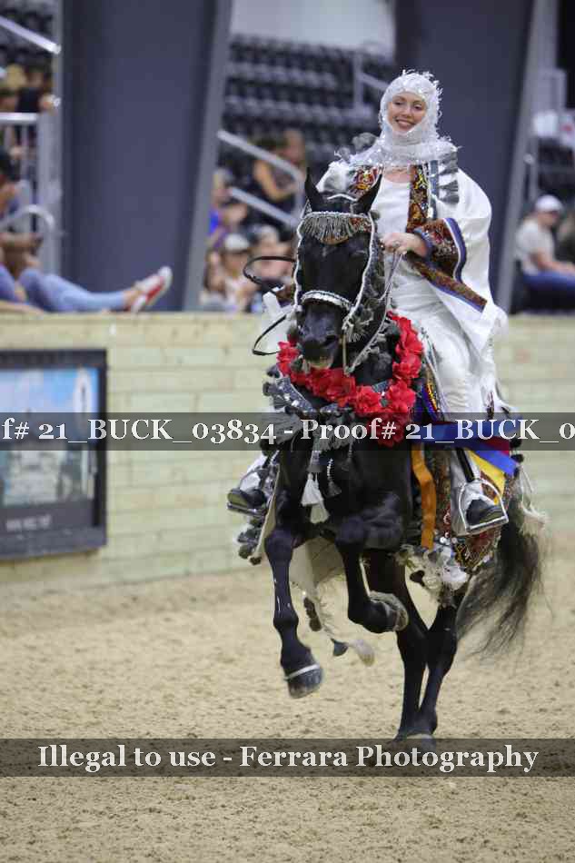 Proof 21_BUCK_03834