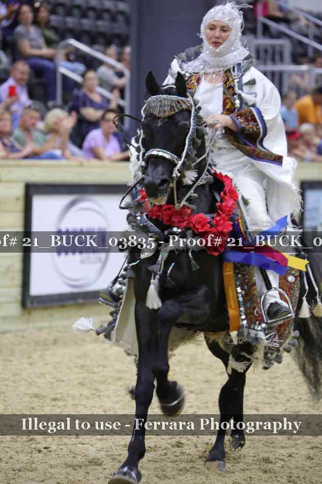 Proof 21_BUCK_03835