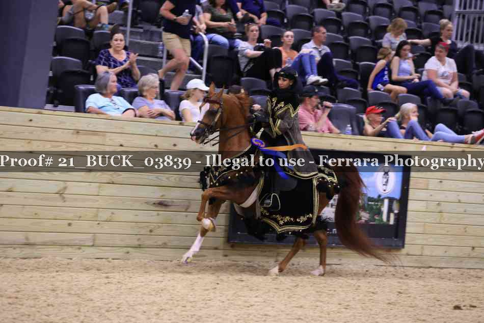 Proof 21_BUCK_03839