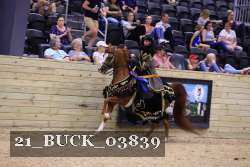 21_BUCK_03839 proof