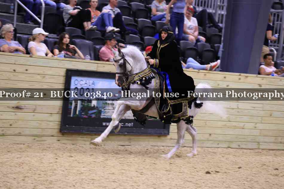 Proof 21_BUCK_03840