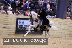 21_BUCK_03840 proof