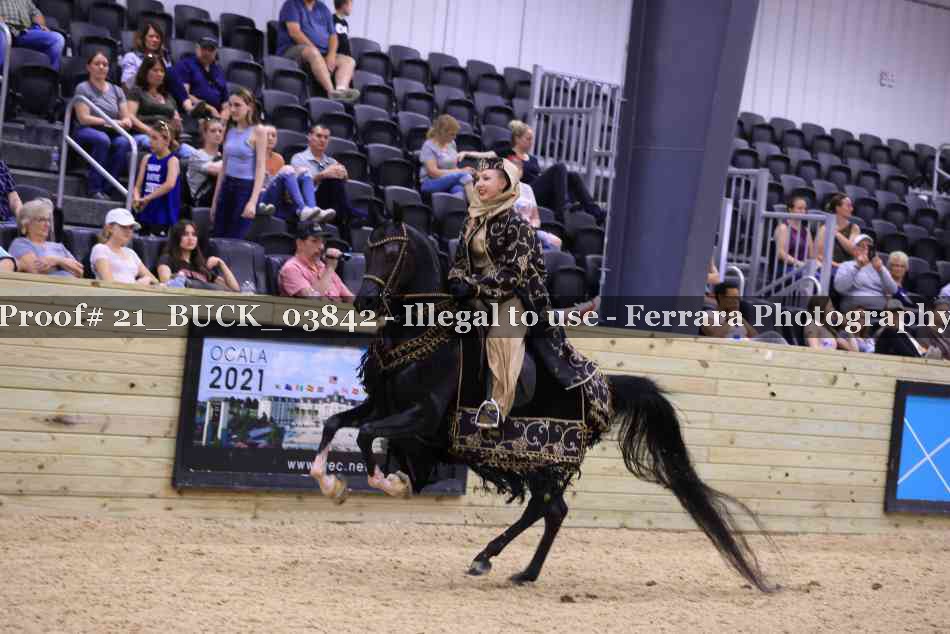 Proof 21_BUCK_03842