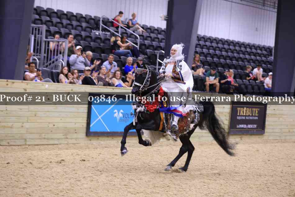 Proof 21_BUCK_03846