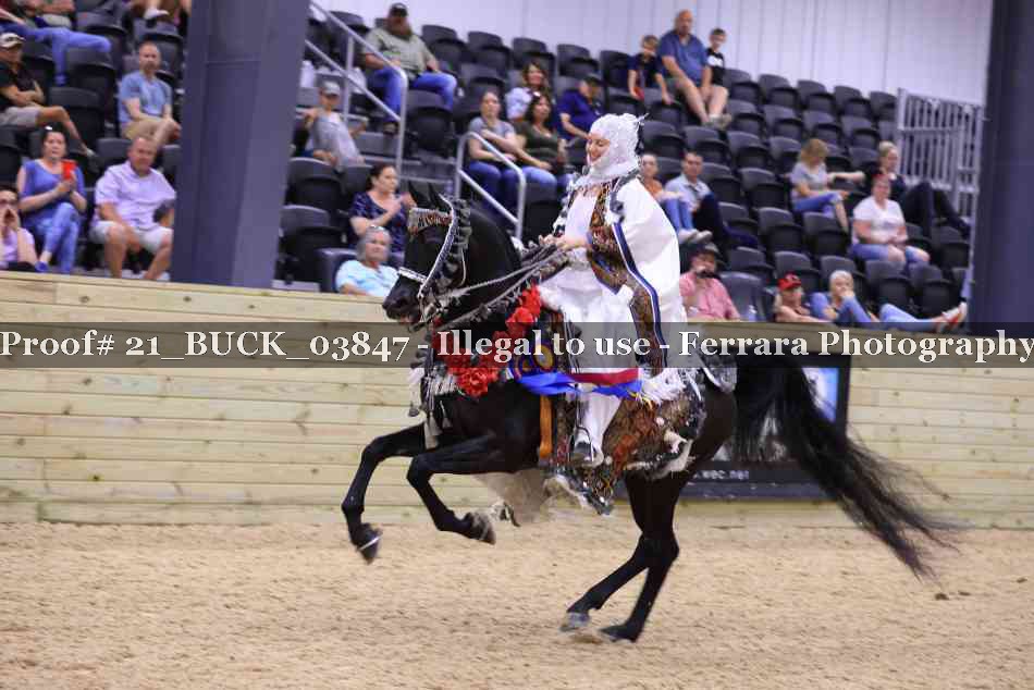 Proof 21_BUCK_03847