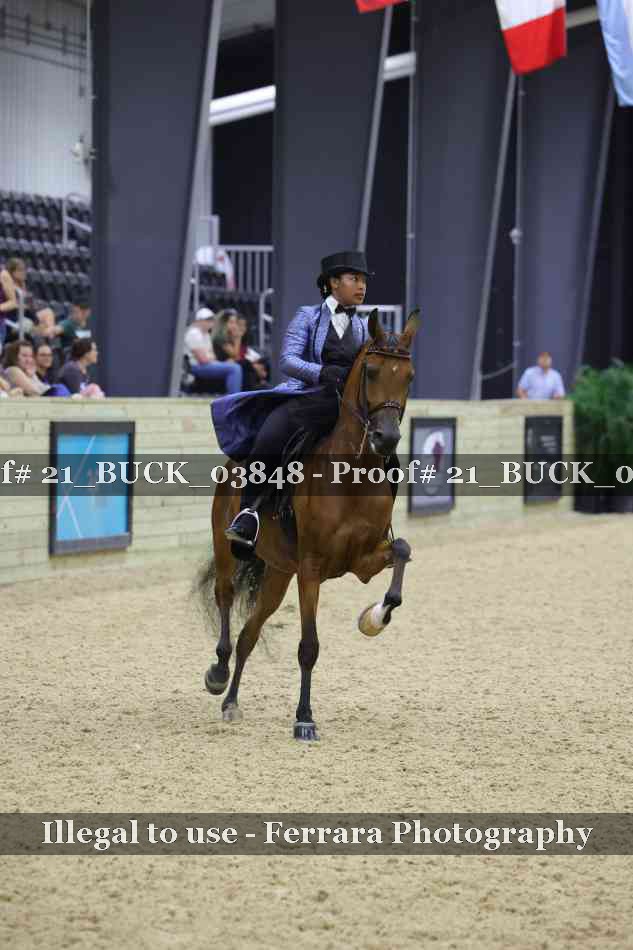 Proof 21_BUCK_03848