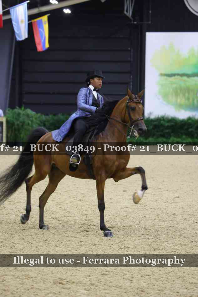 Proof 21_BUCK_03849
