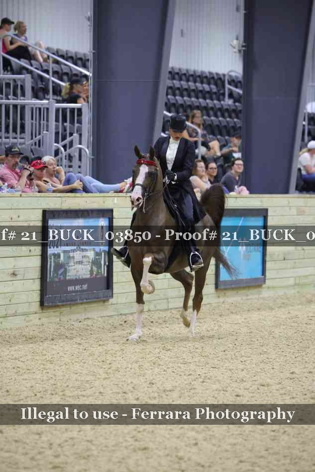 Proof 21_BUCK_03850