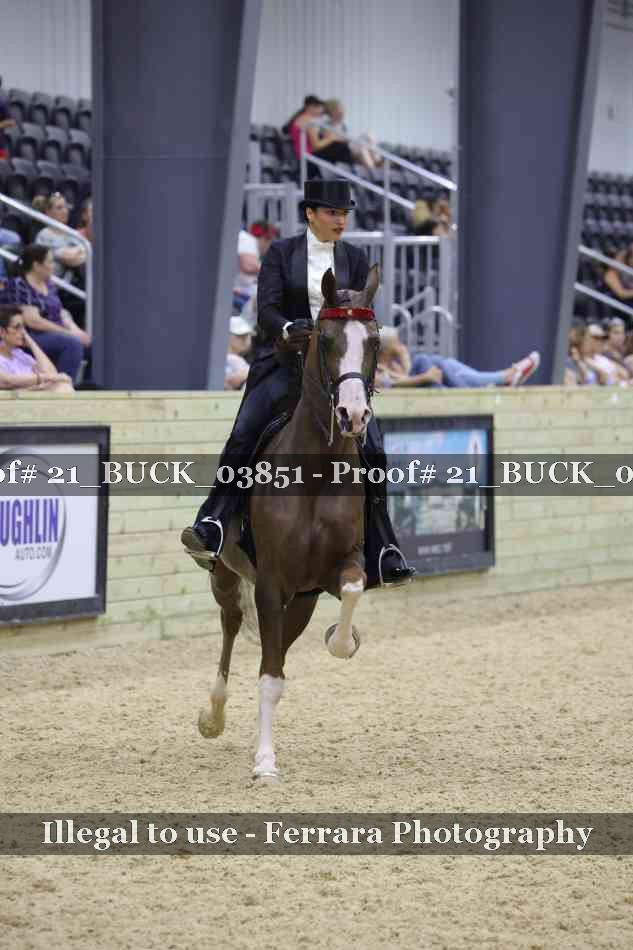 Proof 21_BUCK_03851