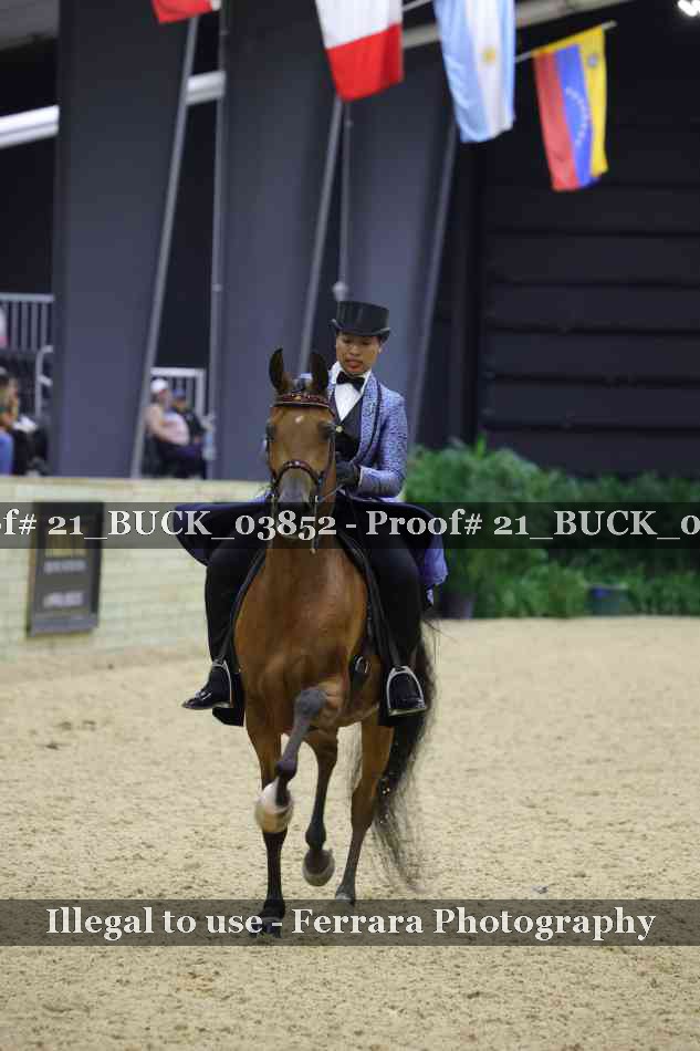 Proof 21_BUCK_03852