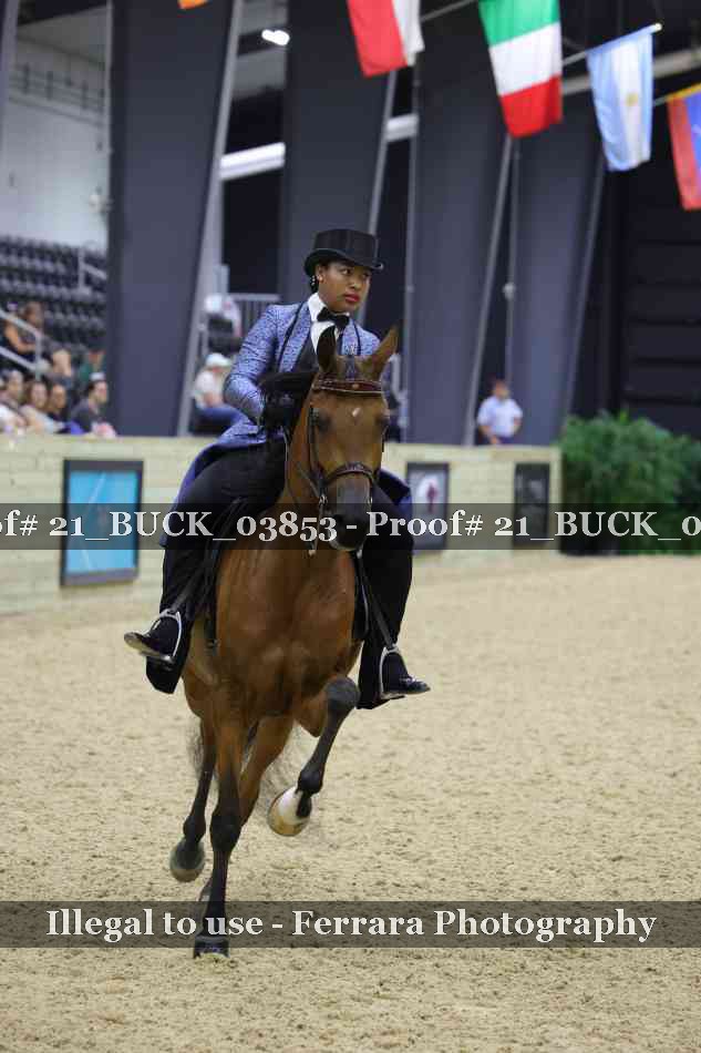 Proof 21_BUCK_03853