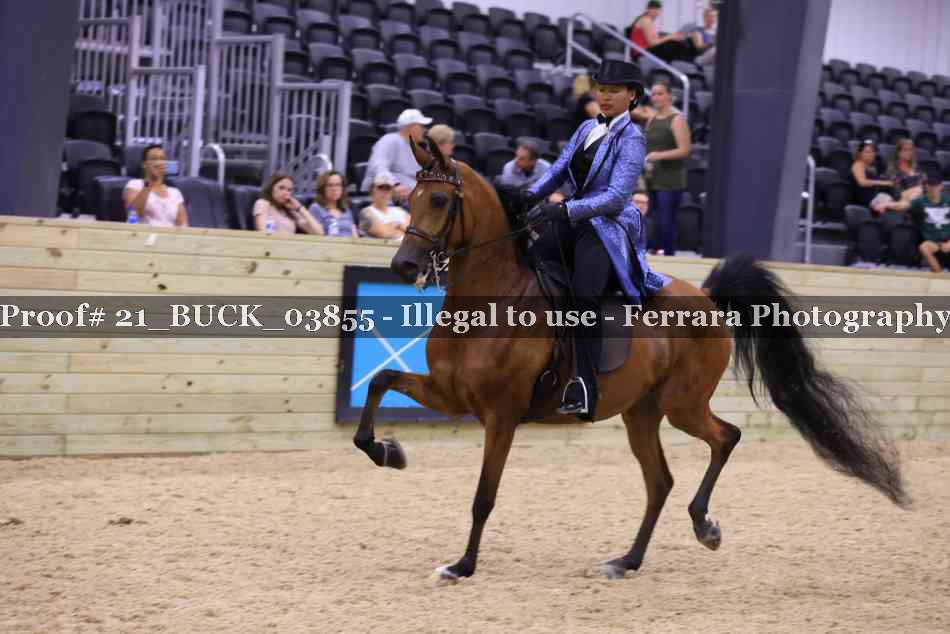 Proof 21_BUCK_03855
