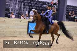 21_BUCK_03855 proof