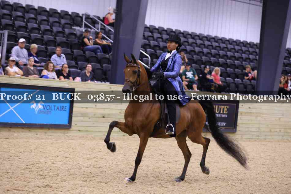 Proof 21_BUCK_03857