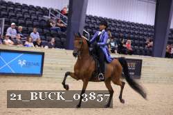 21_BUCK_03857 proof