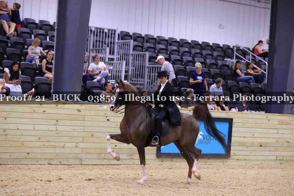 Proof 21_BUCK_03859