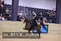21_BUCK_03859 proof