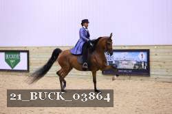21_BUCK_03864 proof