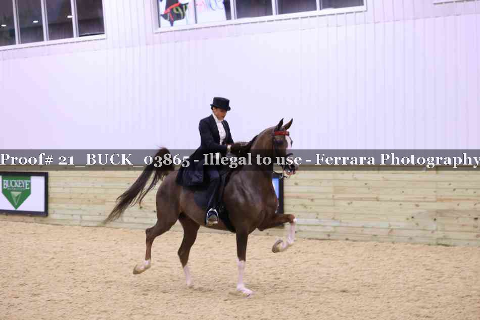 Proof 21_BUCK_03865