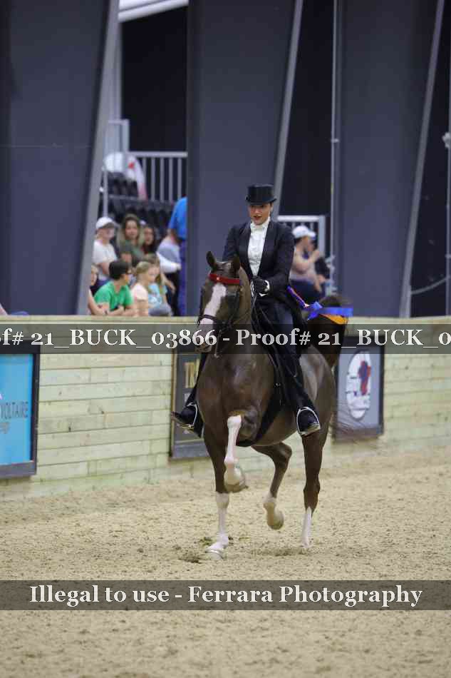 Proof 21_BUCK_03866