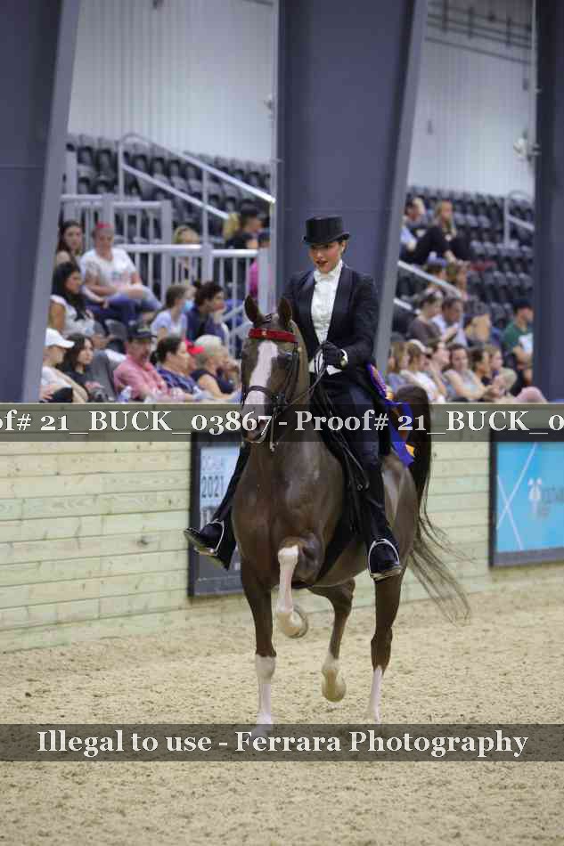 Proof 21_BUCK_03867