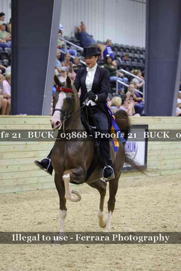 Proof 21_BUCK_03868