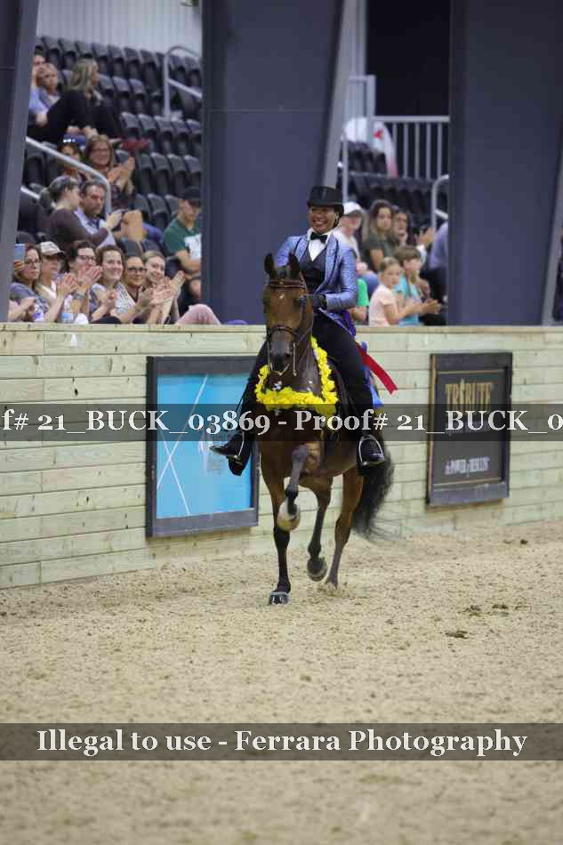 Proof 21_BUCK_03869