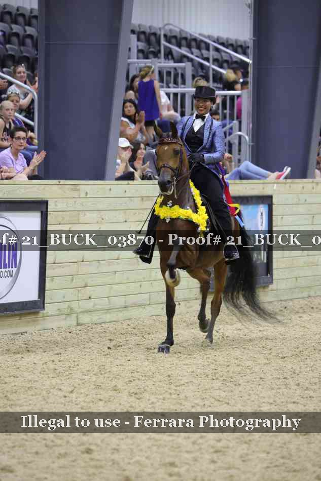 Proof 21_BUCK_03870