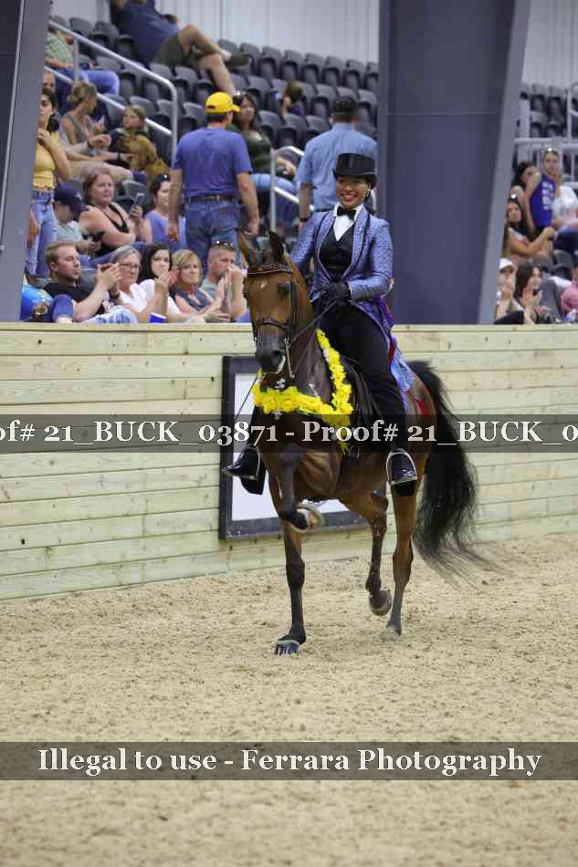 Proof 21_BUCK_03871