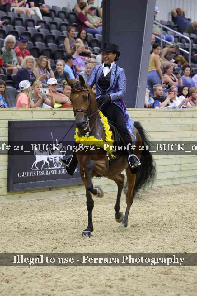Proof 21_BUCK_03872